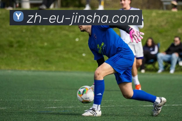 金沙官网APP 高清赛事图